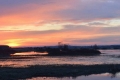 1osowiec001