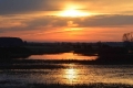 1osowiec002