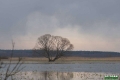 biebrza003