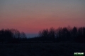biebrza011
