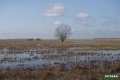 biebrza033