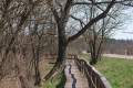 biebrza034