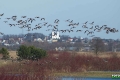 biebrza051