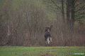losie_107