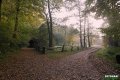 sanok_029