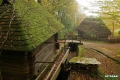 sanok_037