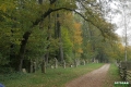 sanok_053