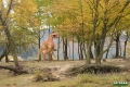 solina_012